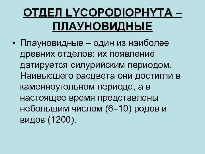 ОТДЕЛ LYCOPODIOPHYTA ПЛАУНОВИДНЫЕ • Плауновидные один из наиболее древних отделов: их появление датируется силурийским