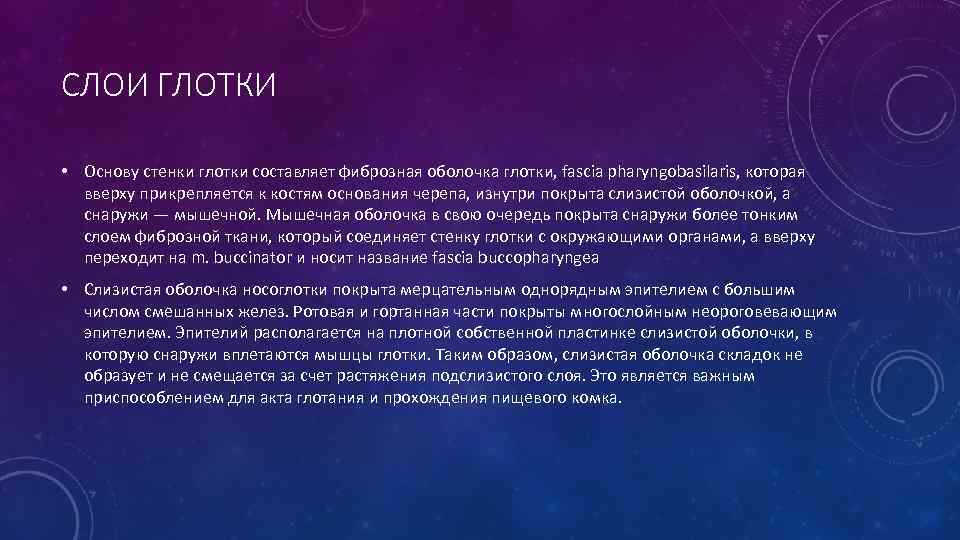 СЛОИ ГЛОТКИ • Основу стенки глотки составляет фиброзная оболочка глотки, fascia pharyngobasilaris, которая вверху