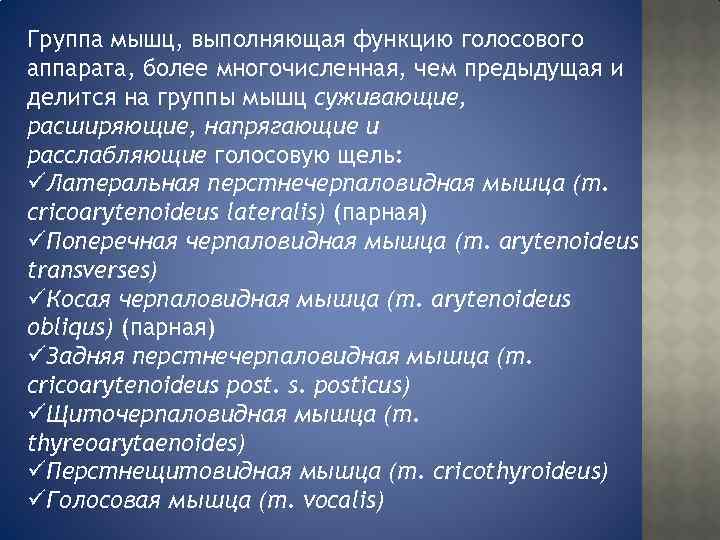 Группа мышц, выполняющая функцию голосового аппарата, более многочисленная, чем предыдущая и делится на группы