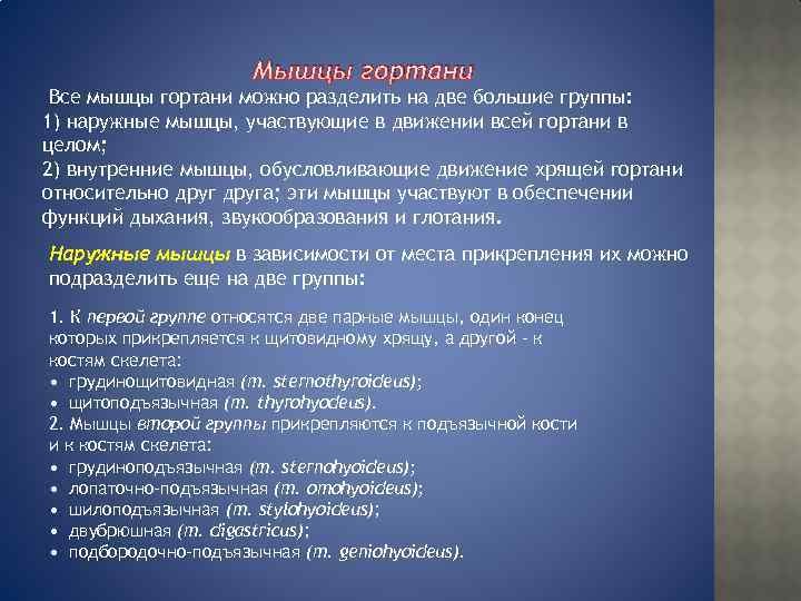 Мышцы гортани Все мышцы гортани можно разделить на две большие группы: 1) наружные мышцы,
