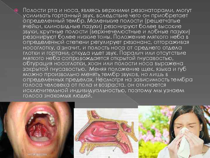  Полости рта и носа, являясь верхними резонаторами, могут усиливать гортанный звук, вследствие чего