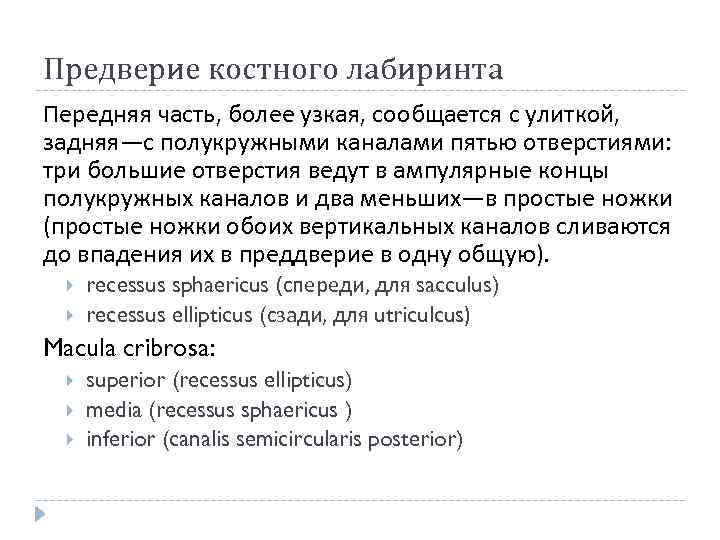 Предверие костного лабиринта Передняя часть, более узкая, сообщается с улиткой, задняя—с полукружными каналами пятью