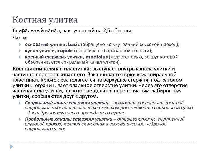 Костная улитка Спиральный канал, закрученный на 2, 5 оборота. Части: основание улитки, basis (обращено