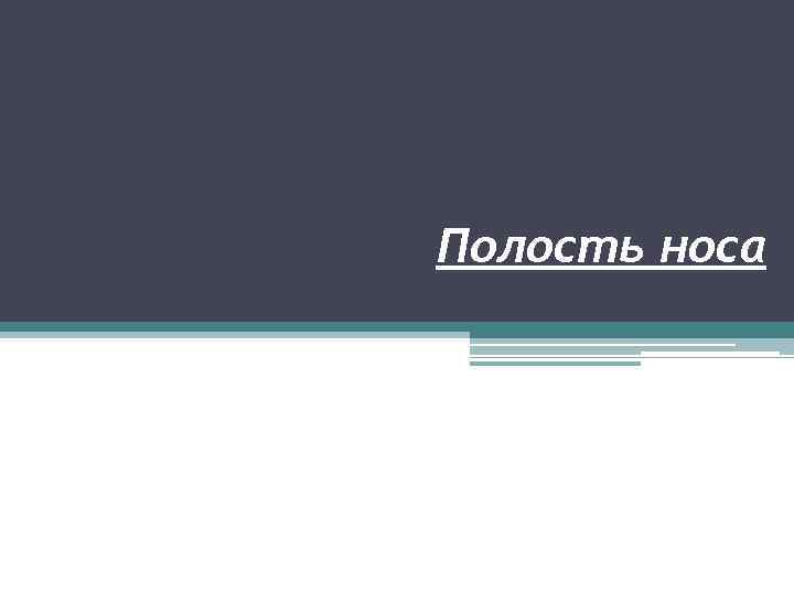 Полость носа 