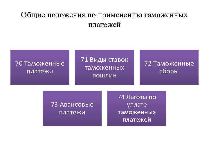 Общие положения по применению таможенных платежей 70 Таможенные платежи 71 Виды ставок таможенных пошлин