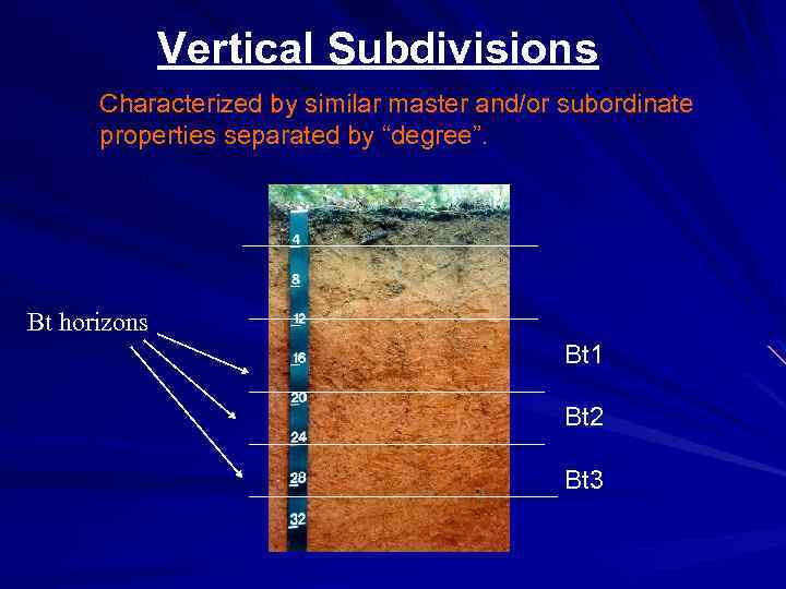 Vertical Subdivisions Characterized by similar master and/or subordinate properties separated by “degree”. Bt horizons