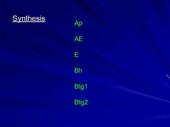 Synthesis Ap AE E Bh Btg 1 Btg 2 