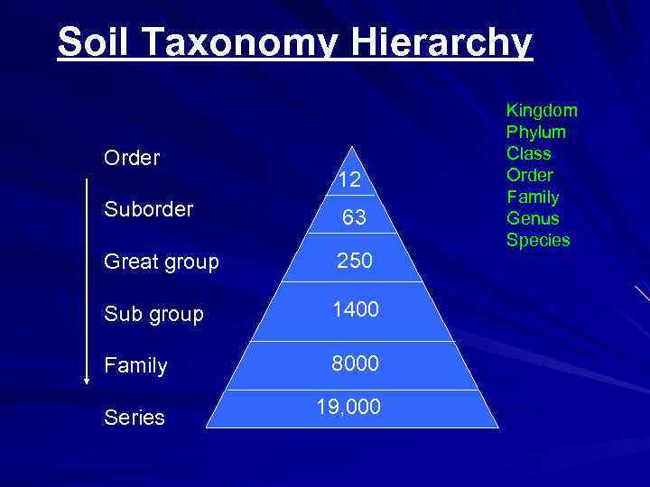 Soil Taxonomy Hierarchy Order 12 Suborder 63 Great group 250 Sub group 1400 Family