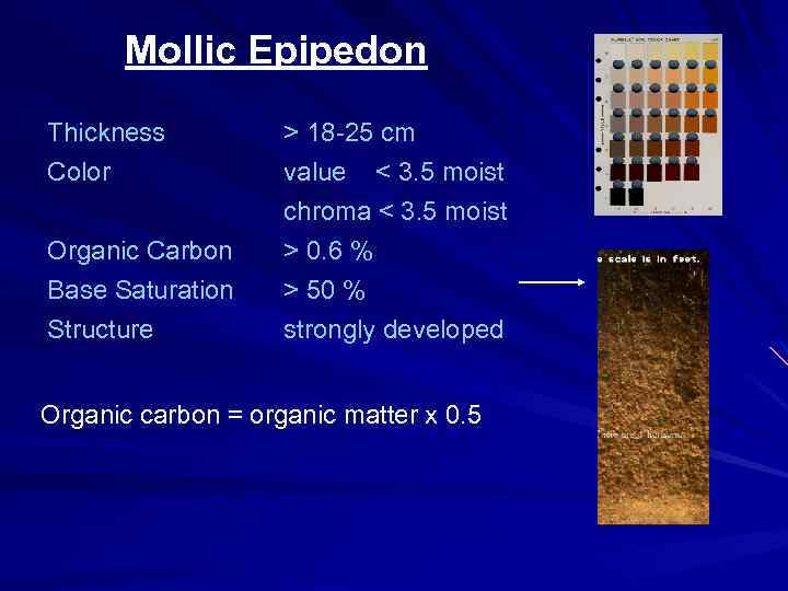 Mollic Epipedon Thickness Color Organic Carbon Base Saturation Structure > 18 -25 cm value