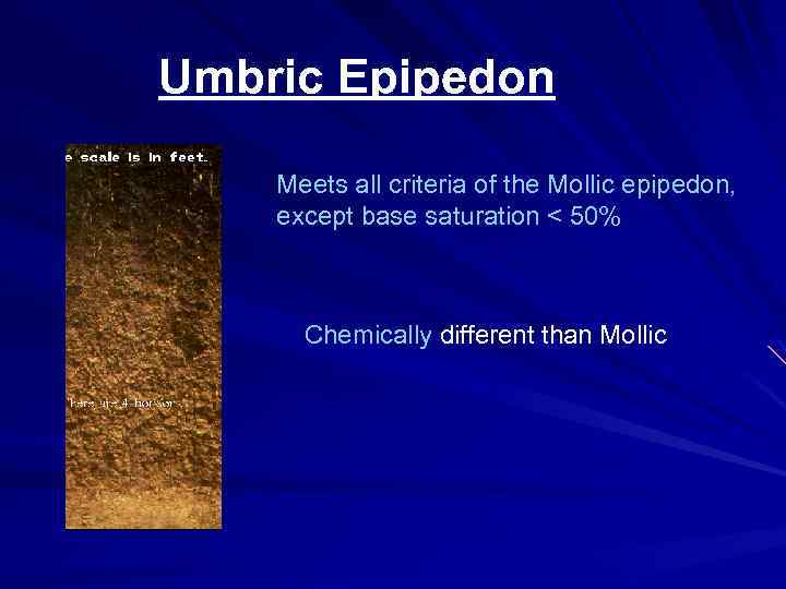 Umbric Epipedon Meets all criteria of the Mollic epipedon, except base saturation < 50%