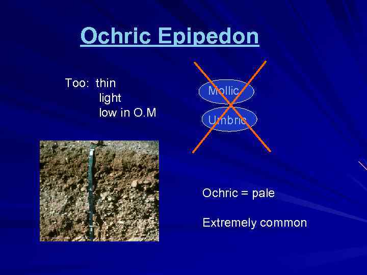 Ochric Epipedon Too: thin light low in O. M Mollic Umbric Ochric = pale