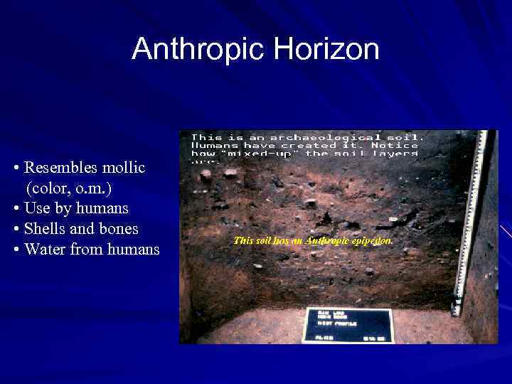 Anthropic Horizon • Resembles mollic (color, o. m. ) • Use by humans •