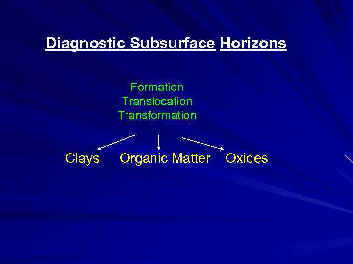 Diagnostic Subsurface Horizons Formation Translocation Transformation Clays Organic Matter Oxides 