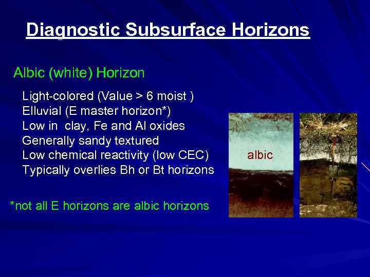 Diagnostic Subsurface Horizons Albic (white) Horizon Light-colored (Value > 6 moist ) Elluvial (E