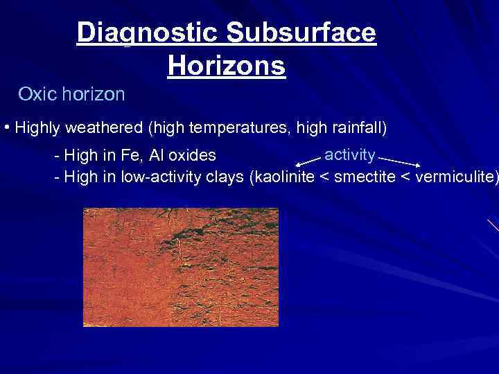 Diagnostic Subsurface Horizons Oxic horizon • Highly weathered (high temperatures, high rainfall) activity -