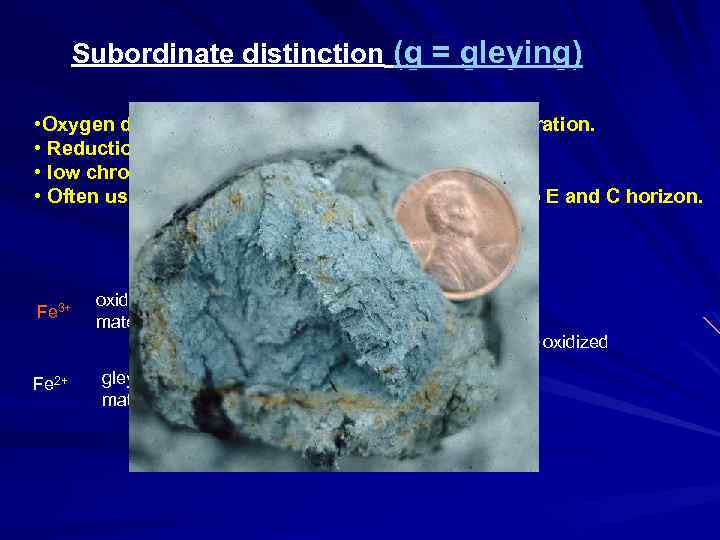 Subordinate distinction (g = gleying) • Oxygen deprived or reduced state due to water