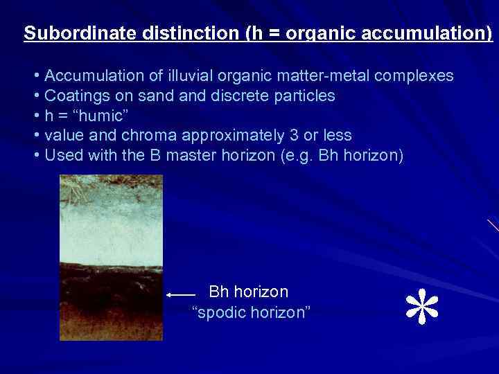 Subordinate distinction (h = organic accumulation) • Accumulation of illuvial organic matter-metal complexes •