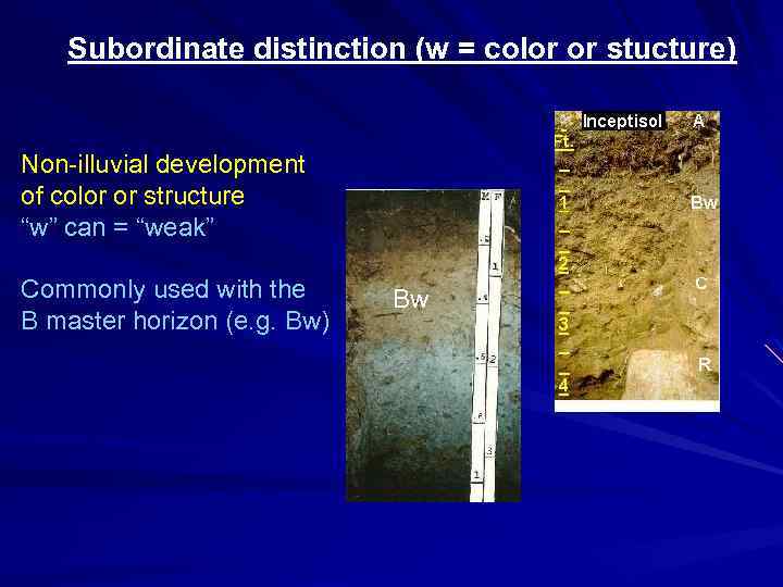 Subordinate distinction (w = color or stucture) Non-illuvial development of color or structure “w”