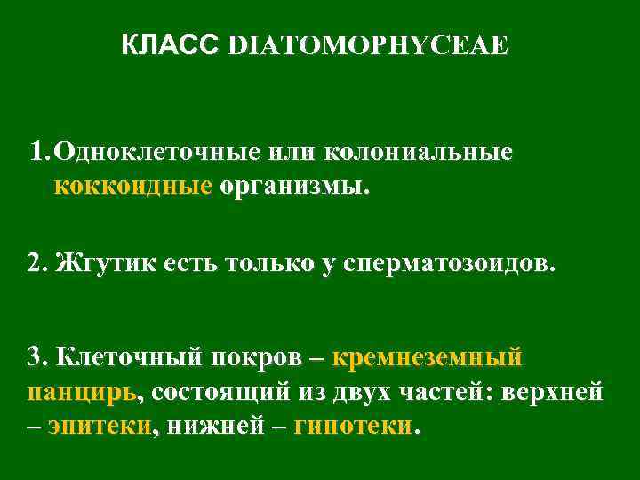 КЛАСС DIATOMOPHYCEAE 1. Одноклеточные или колониальные коккоидные организмы. 2. Жгутик есть только у сперматозоидов.