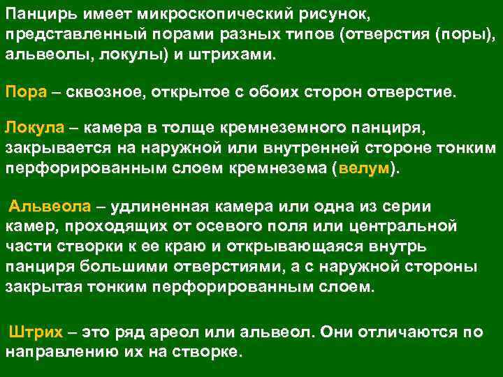 Панцирь имеет микроскопический рисунок, представленный порами разных типов (отверстия (поры), альвеолы, локулы) и штрихами.