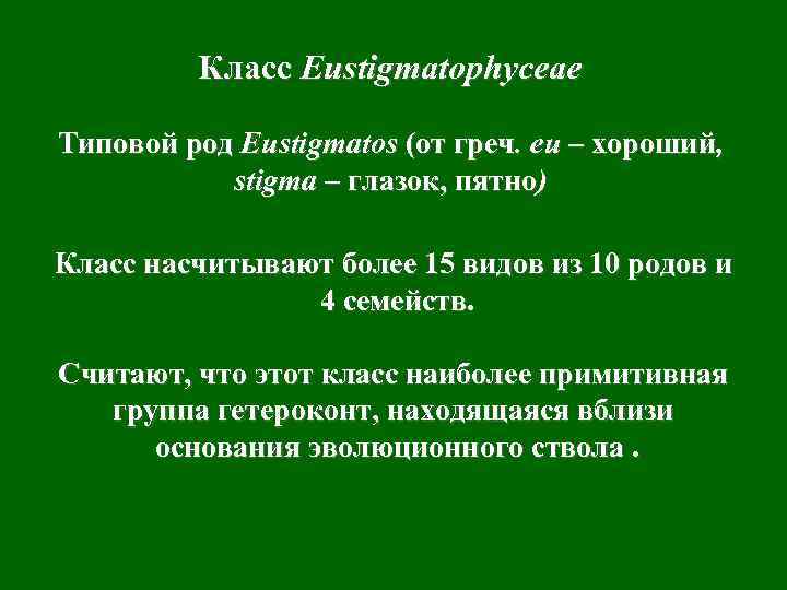 Класс Eustigmatophyceae Типовой род Eustigmatos (от греч. eu – хороший, stigma – глазок, пятно)