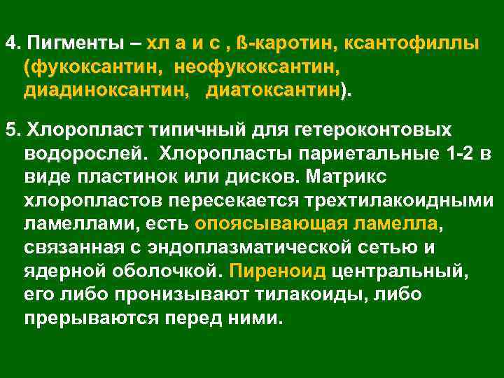 4. Пигменты – хл а и с , ß-каротин, ксантофиллы (фукоксантин, неофукоксантин, диадиноксантин, диатоксантин).