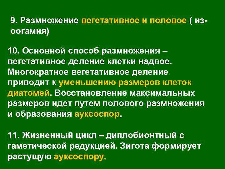 9. Размножение вегетативное и половое ( изоогамия) 10. Основной способ размножения – вегетативное деление