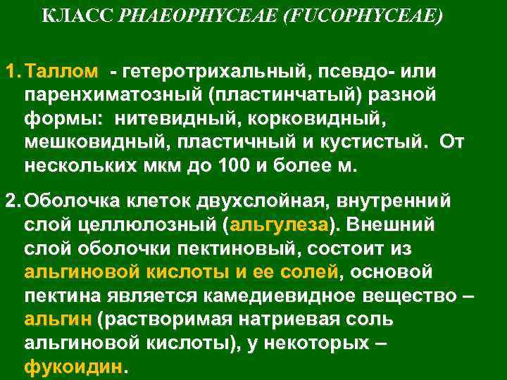 КЛАСС PHAEOPHYCEAE (FUCOPHYCEAE) 1. Таллом - гетеротрихальный, псевдо- или паренхиматозный (пластинчатый) разной формы: нитевидный,