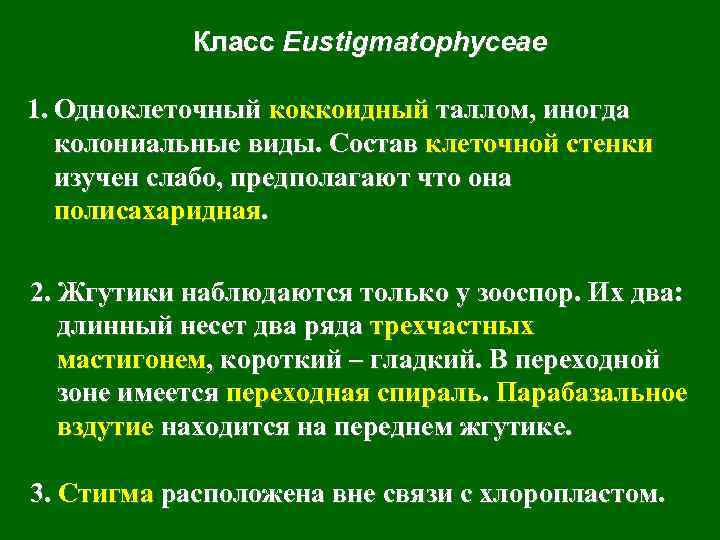 Класс Eustigmatophyceae 1. Одноклеточный коккоидный таллом, иногда колониальные виды. Состав клеточной стенки изучен слабо,