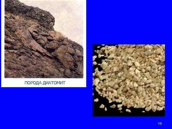 ПОРОДА ДИАТОМИТ 16 