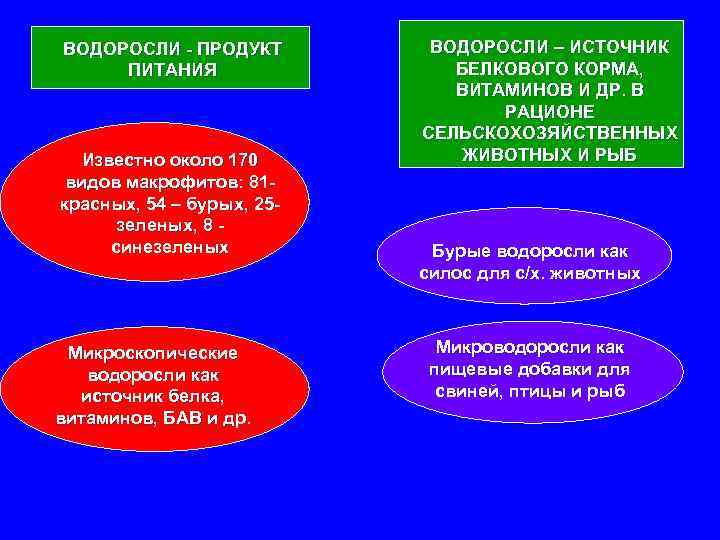 ВОДОРОСЛИ - ПРОДУКТ ПИТАНИЯ Известно около 170 видов макрофитов: 81 красных, 54 – бурых,