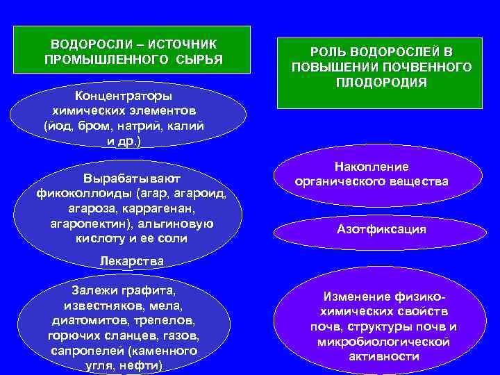 ВОДОРОСЛИ – ИСТОЧНИК ПРОМЫШЛЕННОГО СЫРЬЯ Концентраторы химических элементов (йод, бром, натрий, калий и др.