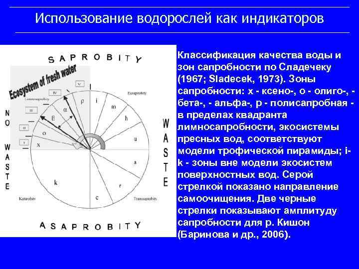 Использование водорослей как индикаторов Классификация качества воды и зон сапробности по Сладечеку (1967; Sladecek,