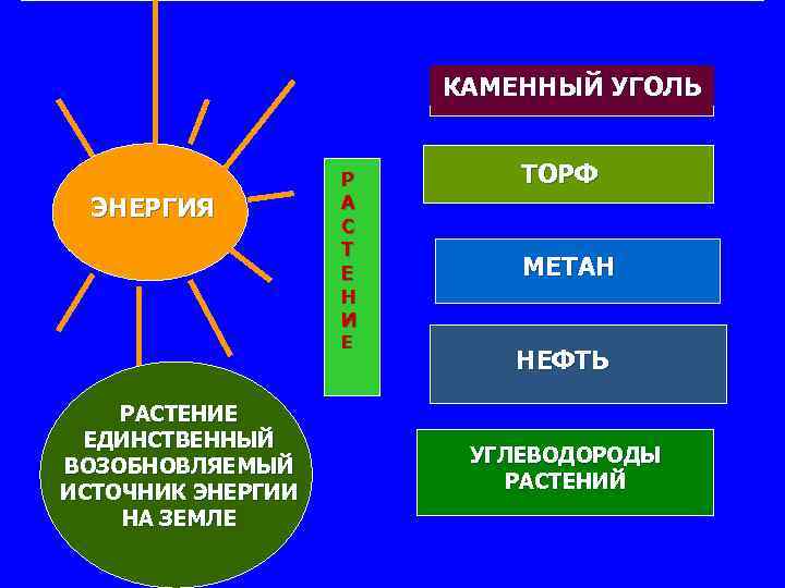 КАМЕННЫЙ УГОЛЬ ЭНЕРГИЯ Р А С Т Е Н И Е РАСТЕНИЕ ЕДИНСТВЕННЫЙ ВОЗОБНОВЛЯЕМЫЙ
