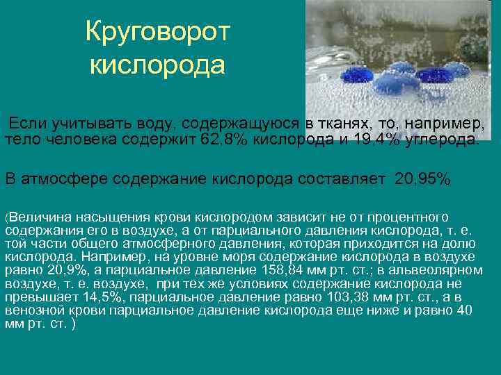 Составьте схемы отражающие круговороты кислорода и воды