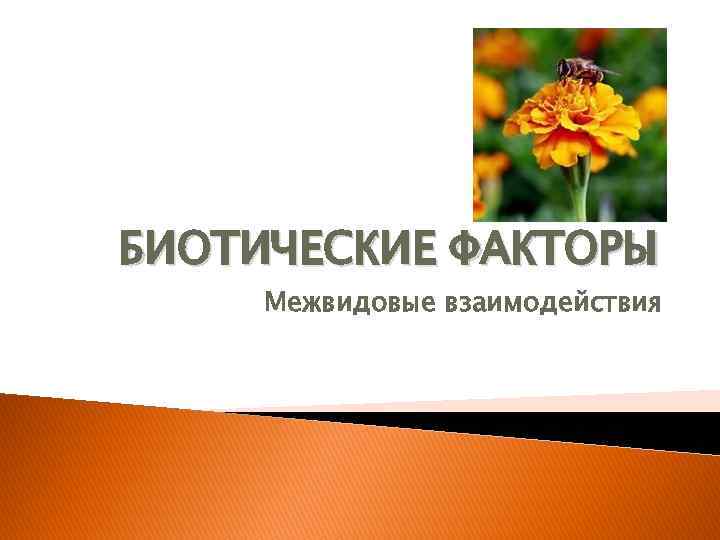 БИОТИЧЕСКИЕ ФАКТОРЫ Межвидовые взаимодействия 