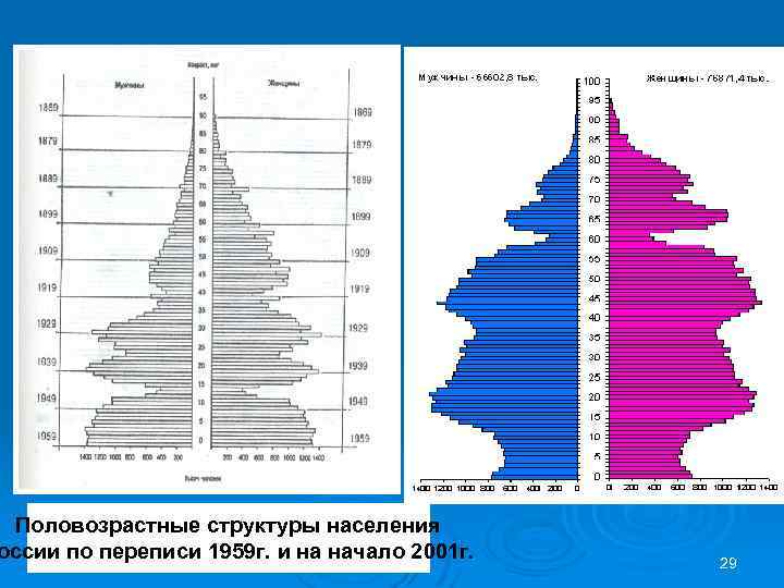 На диаграмме изображена половозрастная пирамида. Половозрастная структура Египта карта. Демографическая структура населения мира. Половозрастная пирамида Владимирской области. Половозрастная структура населения Индонезии.