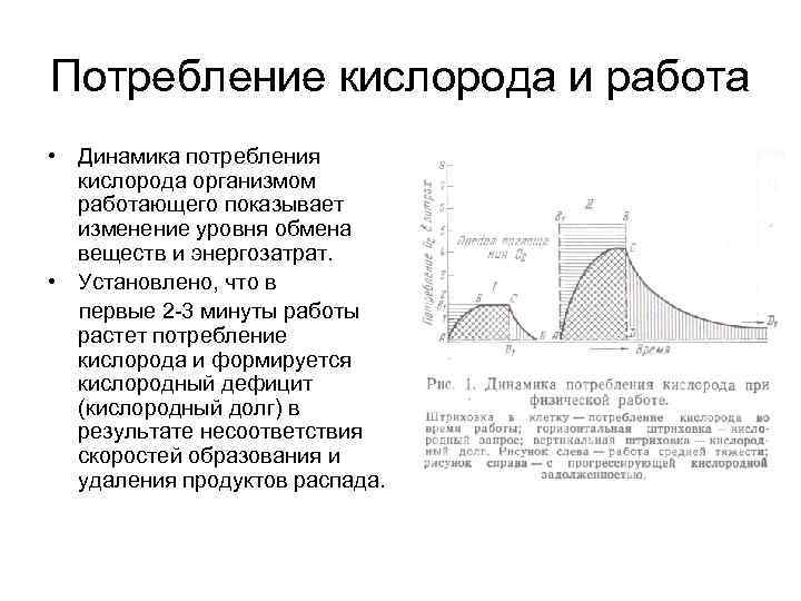 Потребность кислорода