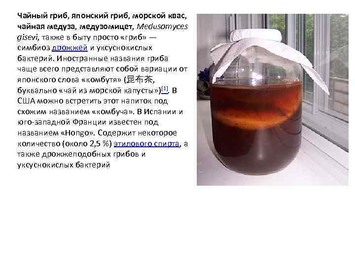 Чайный гриб, японский гриб, морской квас, чайная медуза, медузомицет, Medusomyces gisevi, также в быту