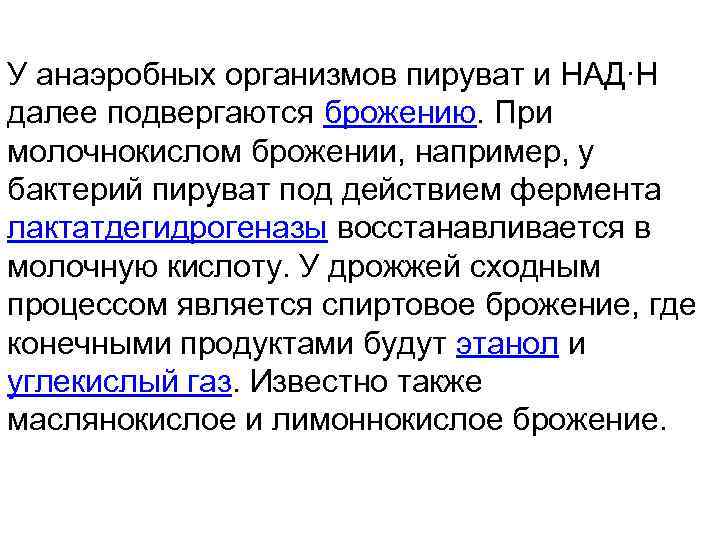 У анаэробных организмов пируват и НАД∙H далее подвергаются брожению. При молочнокислом брожении, например, у