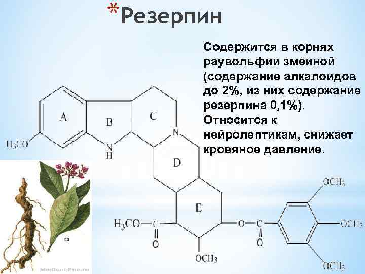 *Резерпин Содержится в корнях раувольфии змеиной (содержание алкалоидов до 2%, из них содержание резерпина