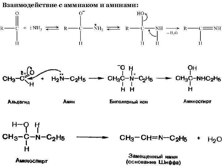 Взаимодействие с аммиаком и аминами: 