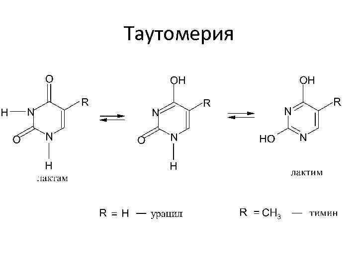 Таутомерия 