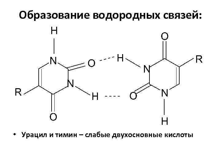 Урацил химические свойства. Урацил химическая формула. Тимин урацил. Тимин строение.