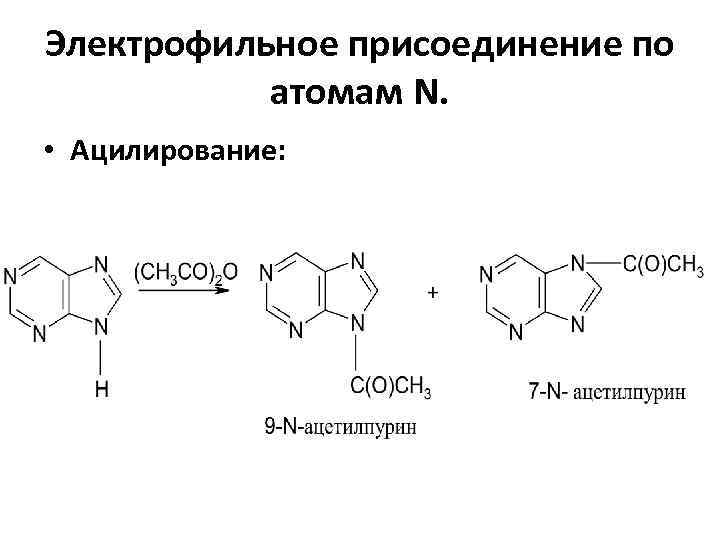 Электрофильное присоединение по атомам N. • Ацилирование: 