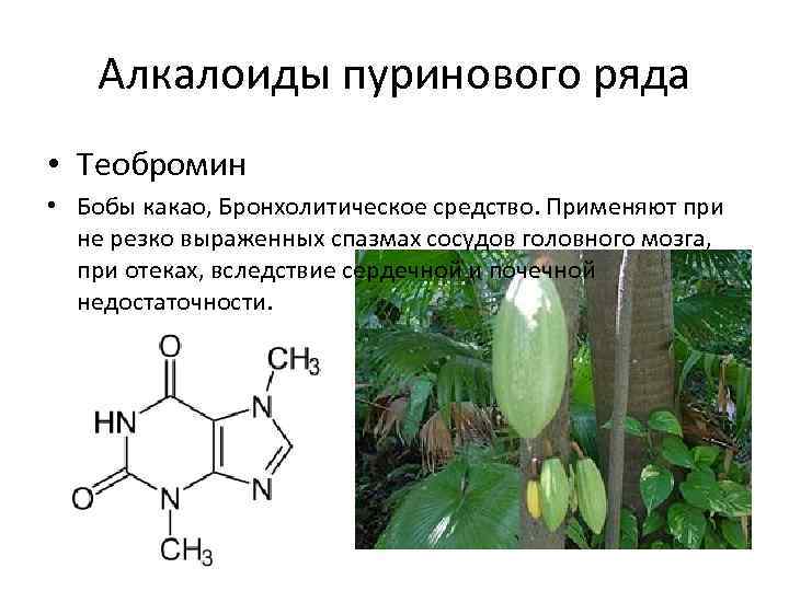Алкалоиды пуринового ряда • Теобромин • Бобы какао, Бронхолитическое средство. Применяют при не резко