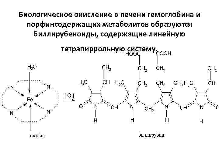 Биологическое окисление в печени гемоглобина и порфинсодержащих метаболитов образуются биллирубеноиды, содержащие линейную тетрапиррольную систему.