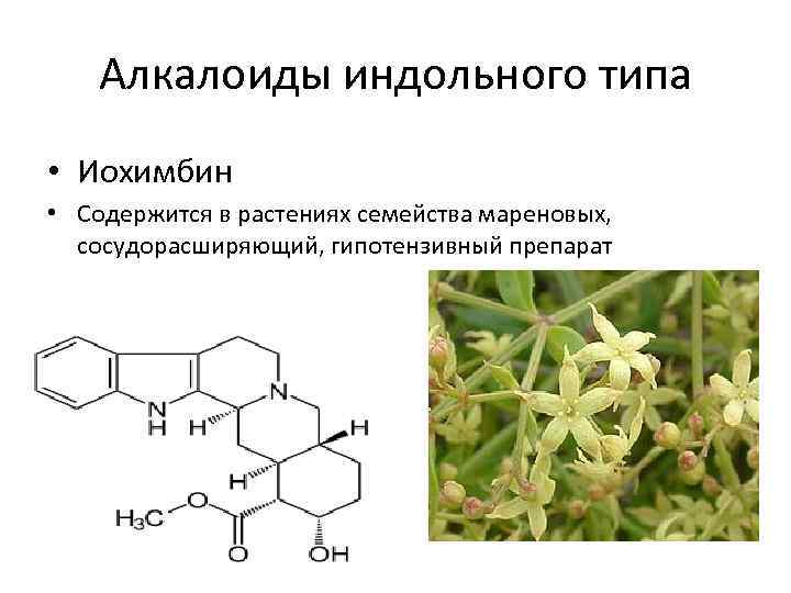 Алкалоиды индольного типа • Иохимбин • Содержится в растениях семейства мареновых, сосудорасширяющий, гипотензивный препарат