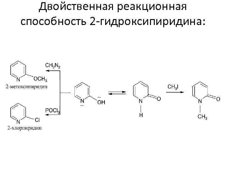Двойственная реакционная способность 2 гидроксипиридина: 