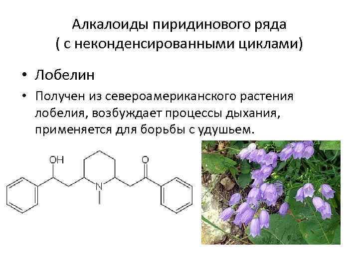 Алкалоиды пиридинового ряда ( с неконденсированными циклами) • Лобелин • Получен из североамериканского растения